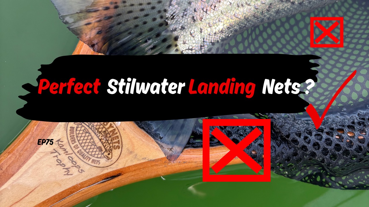 best landing net for match fishing Medium - Daymaker The Promar ProMesh Performance Series Landing Nets are making a huge impression on both fresh and saltwater anglers How To Choose The Right