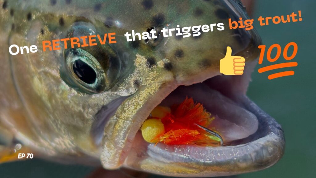Beginner angler learning stillwater techniques to avoid common fishing mistakes